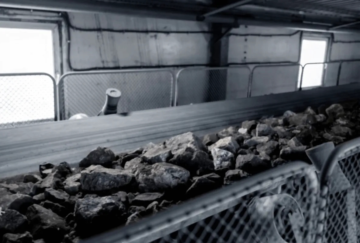 Programmable Logic Controllers (PLCs):